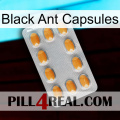 Black Ant Capsules cialis3